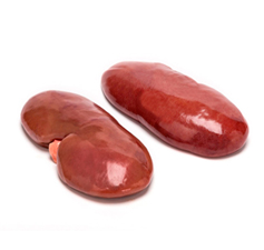 riñones de cerdo